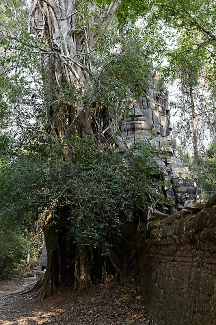Ta Phrom et environs-008